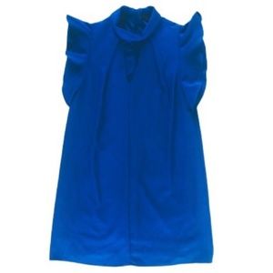 NWT 19 Cooper Blue Babydoll Shift Dress - Small